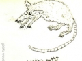 louises-rattywm