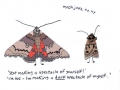 moth-joke-no-117wm
